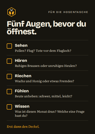 Taschenkarte mit dem Fünf-Augen-Check
